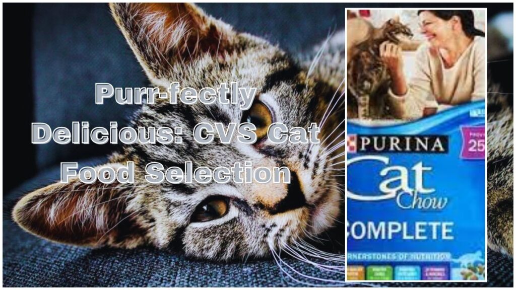 Purr-fectly Delicious: CVS Cat Food Selection