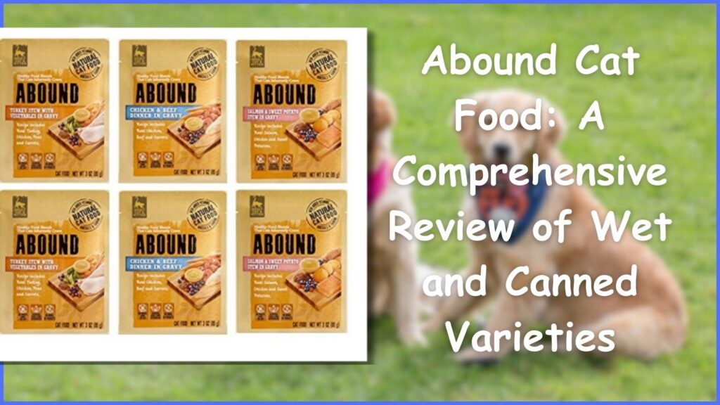 Abound Cat Food: A Comprehensive Review of Wet and Canned Varieties