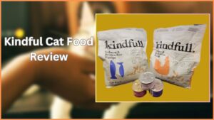 Kindful Cat Food