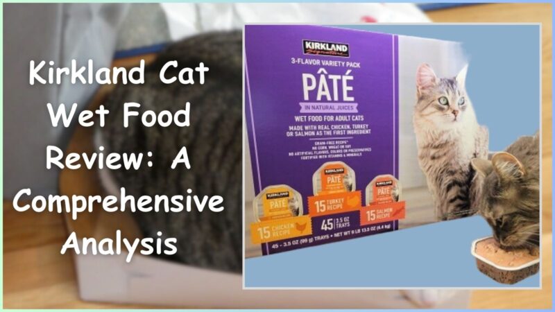 Kirkland Cat Wet Food Review: A Comprehensive Analysis