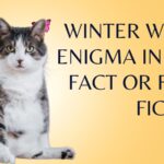 Do cats gain weight in the winter