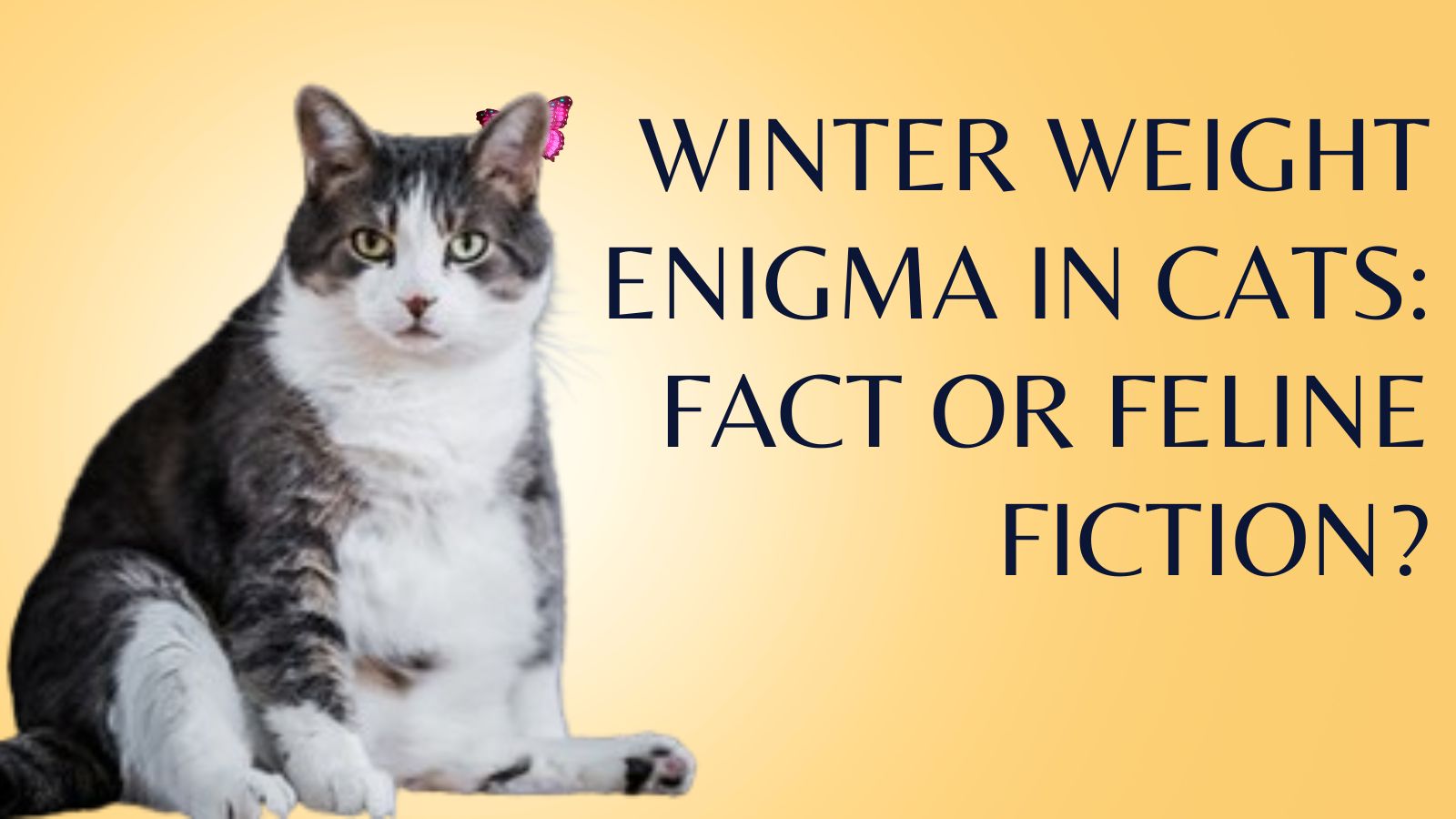 Do cats gain weight in the winter