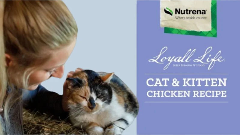 Loyall Life Cat Food Review: Unveiling Nutrient Analysis