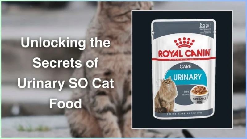 Unlocking the Secrets of Urinary SO Cat Food