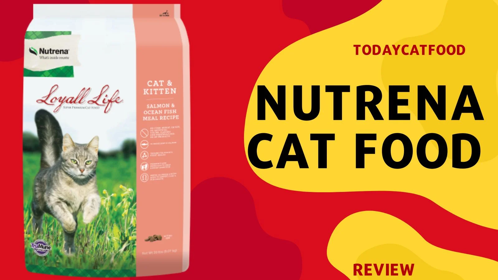 Nutrena Cat Food