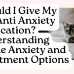 Should I Give My Cat Anti-Anxiety Medication