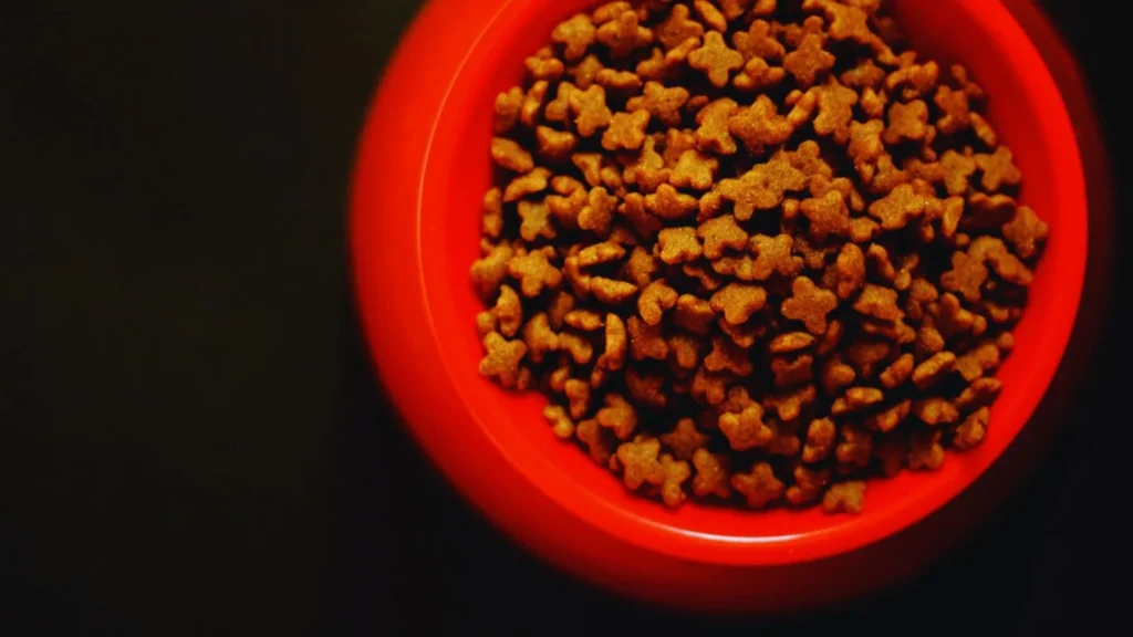 Aujou Cat Food: A Comprehensive Review