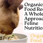 Organic Cat Food Recipes