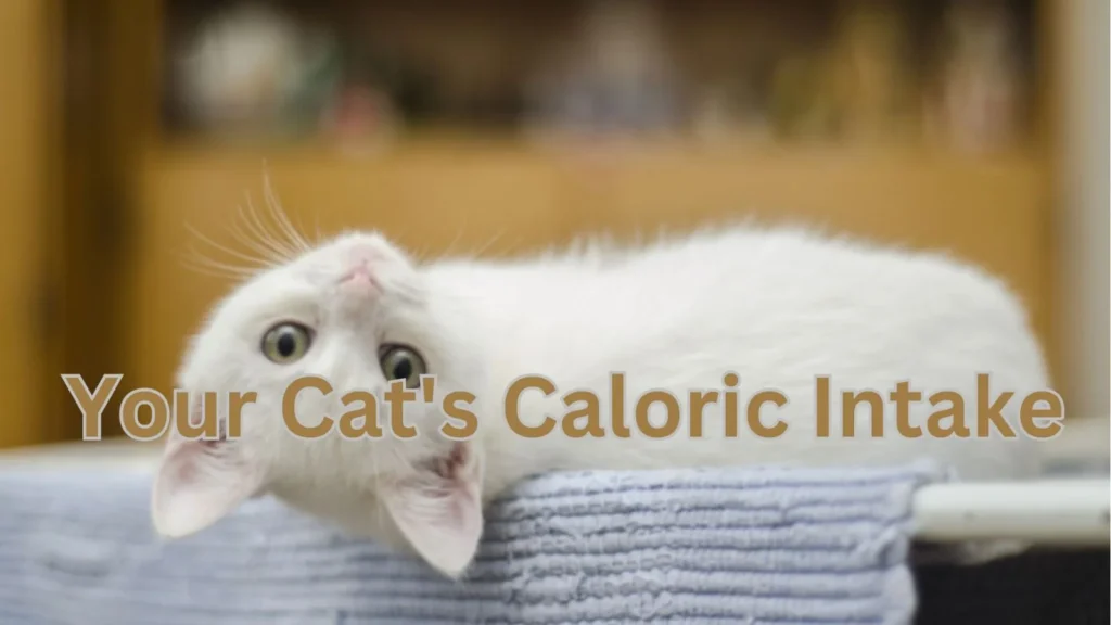 How Many Calories In Friskies Dry Cat Food