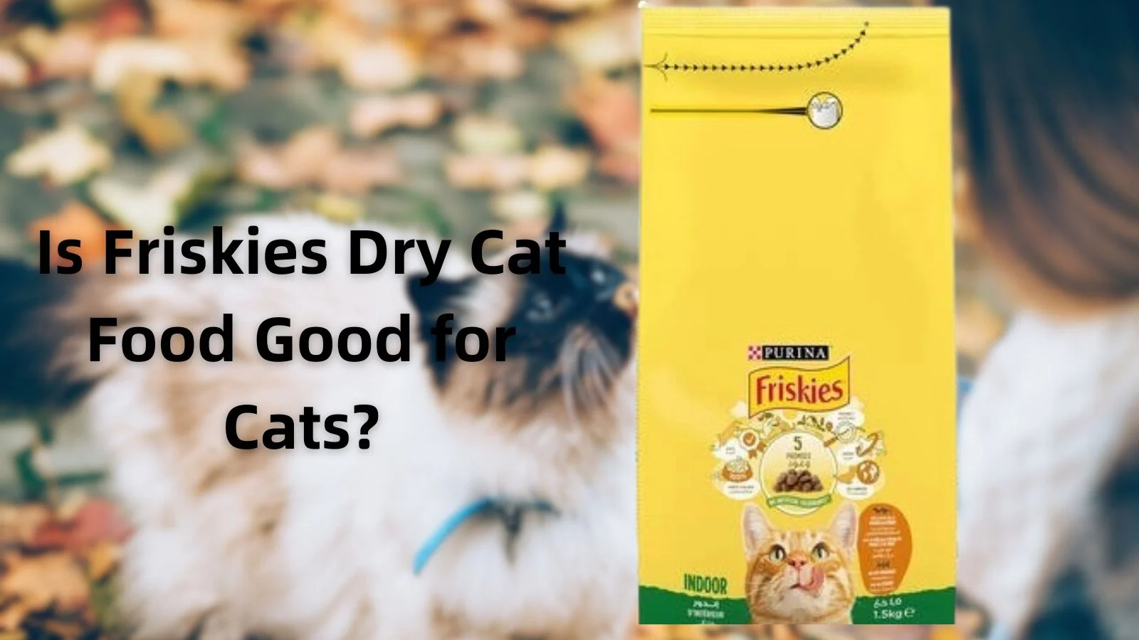 Is Friskies Dry Cat Food Good For Cats 