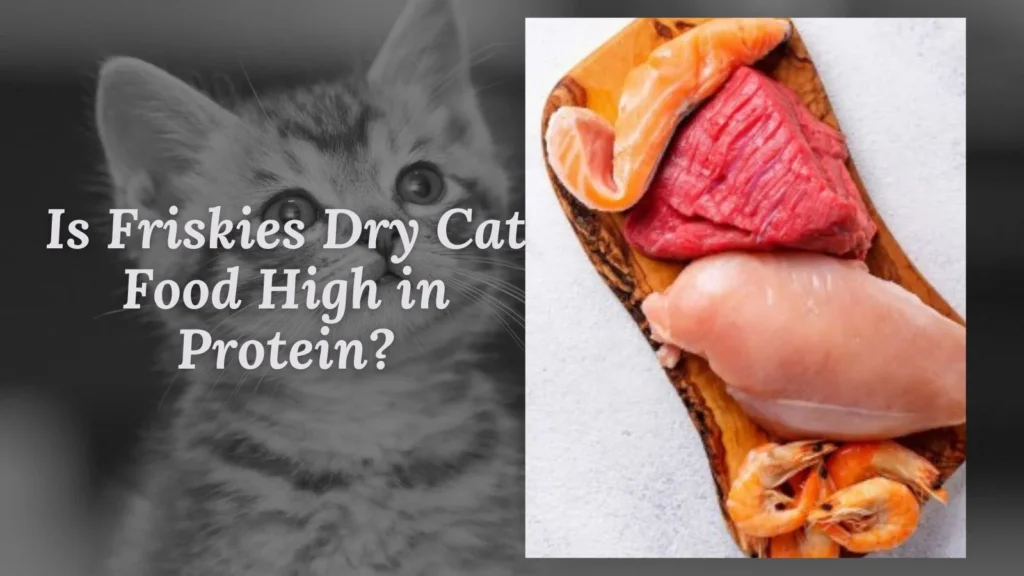 Is Friskies Dry Cat Food High in Protein