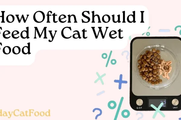 My Cat Wet Food