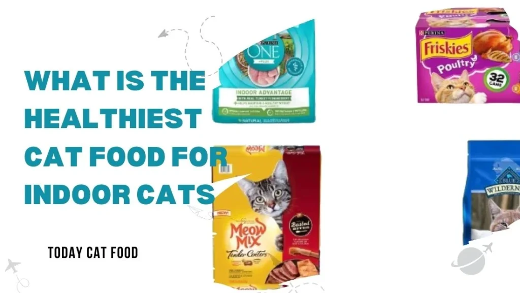 Healthiest Cat Food