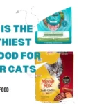 Healthiest Cat Food
