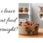 Can I Leave Dry Cat Food Out Overnight?