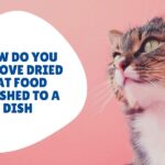 How do you remove dried cat food crushed to a dish