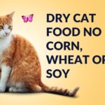 dry cat food no corn, wheat or soy