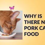 why is there no pork cat food