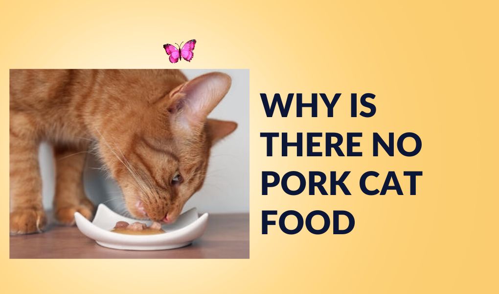 why is there no pork cat food