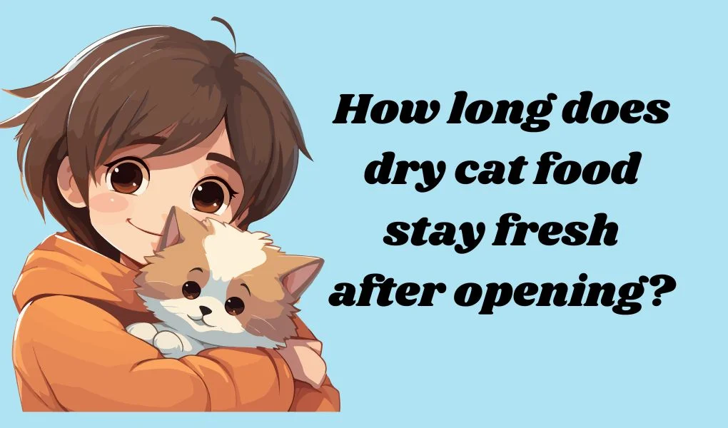 how long does dry cat food stay fresh after opening