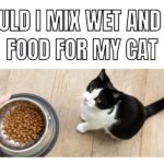 should i mix wet and dry food for my cat