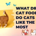 what dry cat food do cats like the most