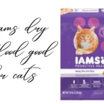 is iams dry cat food good for cats