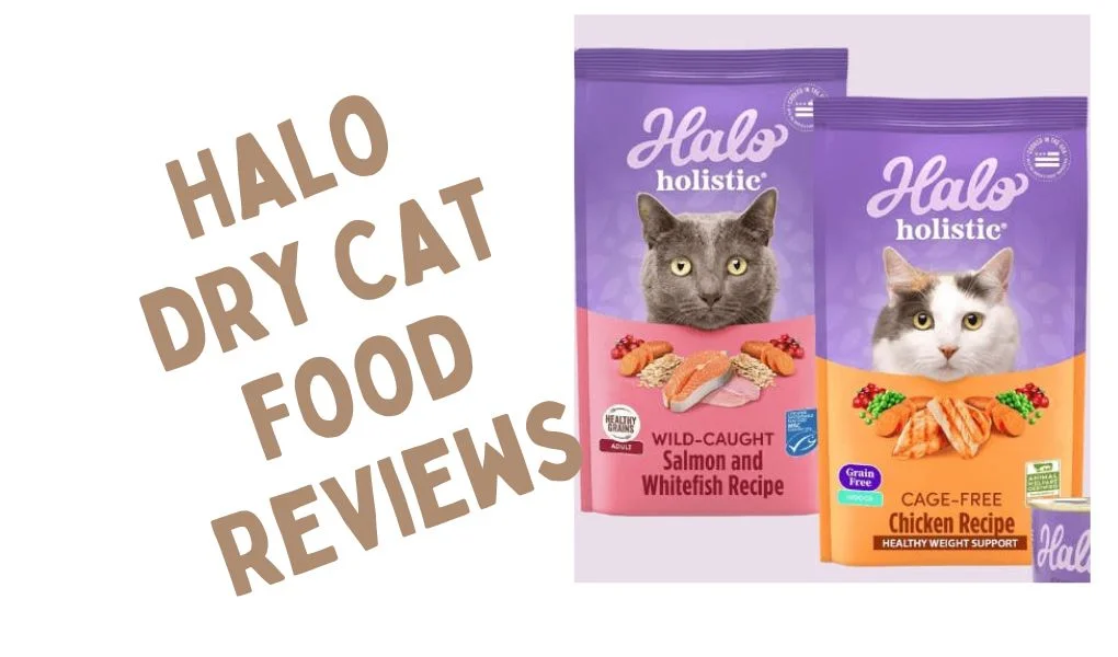 Halo Dry Cat Food Reviews