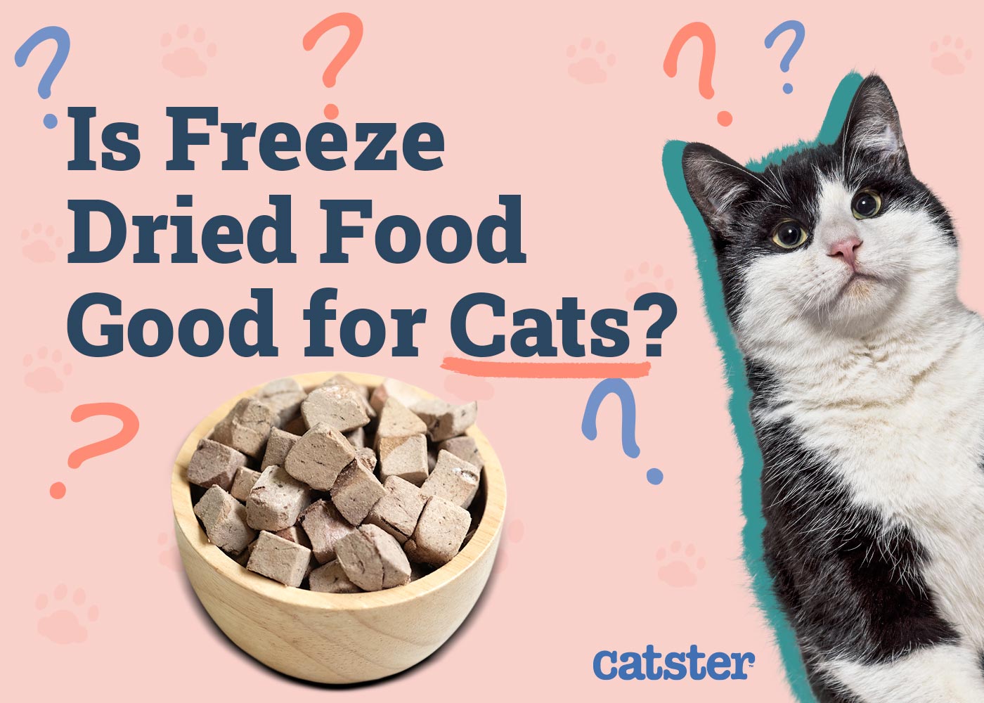 how to feed freeze-dried cat food